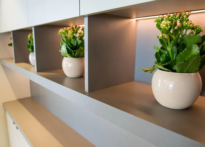 호텔 프린센스 에 리치몬드 4*